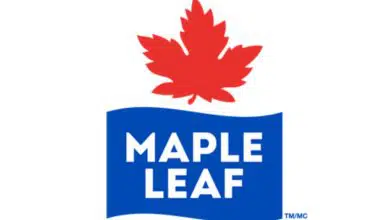 maple leaf careers