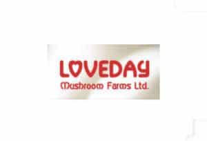 loveday mushroom farms ltd