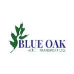 blue oak