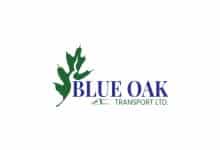 blue oak