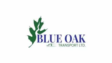 blue oak