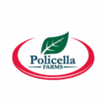 domric international ltd